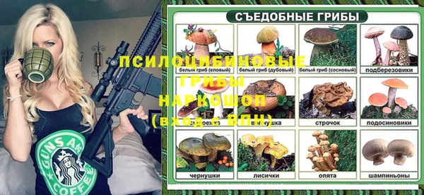 гашик Абдулино