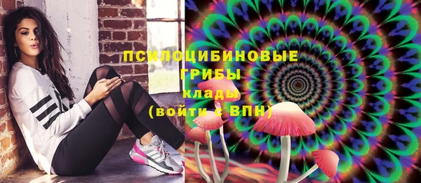 сатива Заволжье