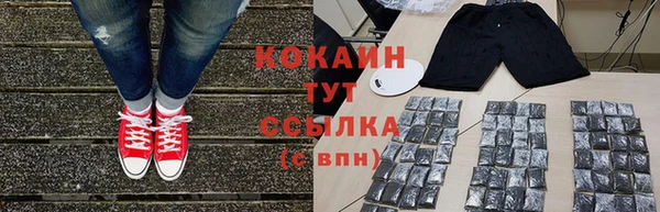 сатива Вяземский