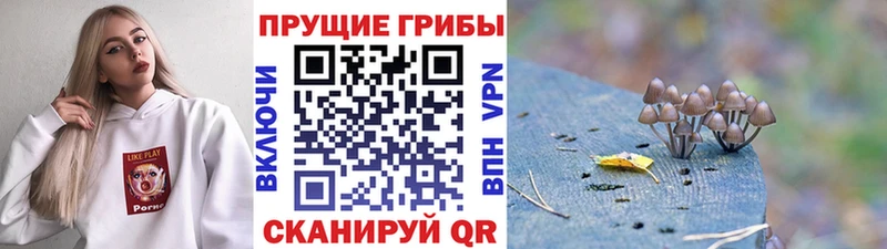 omg как зайти Красавино Галлюциногенные грибы мухоморы